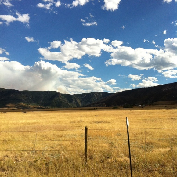 Meet your Posher, Romy - Picture 6 of 8